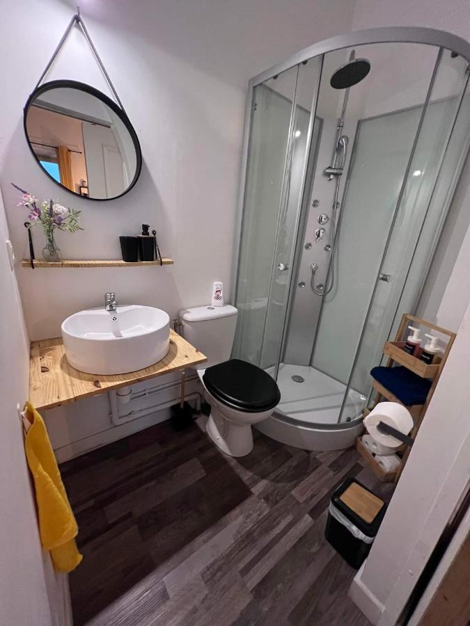 Charmant Appartement Climatise Aux Pieds De La Cite Carcassonne Eksteriør billede