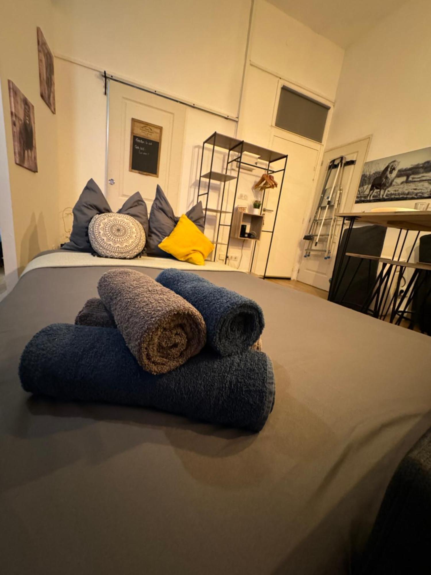 Charmant Appartement Climatise Aux Pieds De La Cite Carcassonne Eksteriør billede