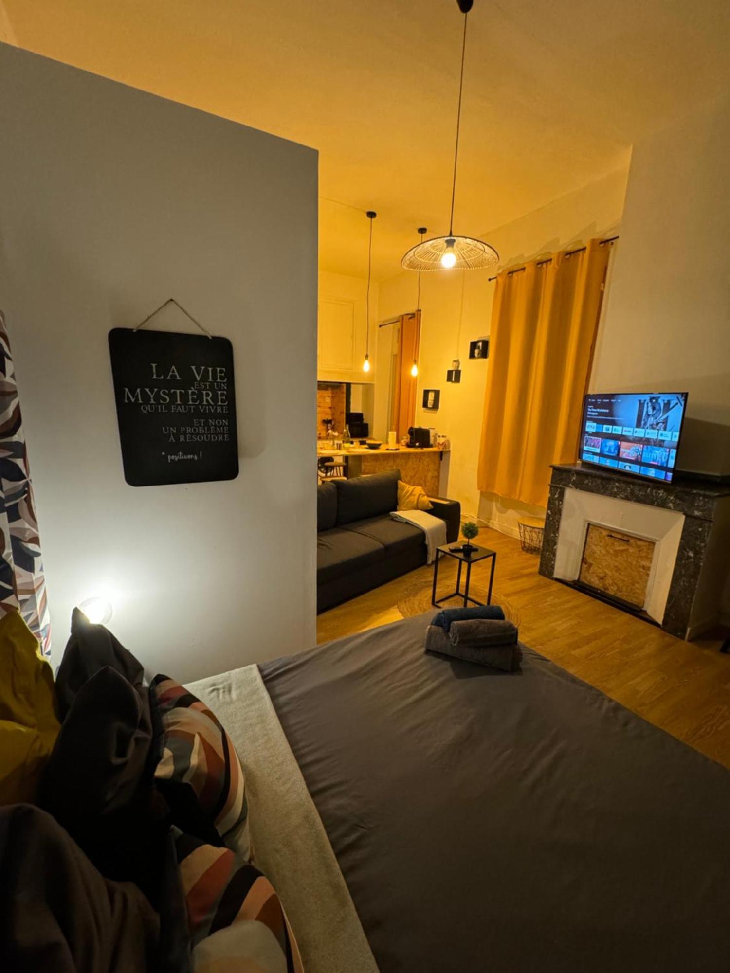 Charmant Appartement Climatise Aux Pieds De La Cite Carcassonne Eksteriør billede